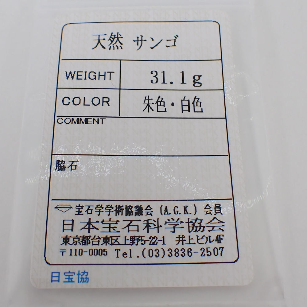 【中古】赤サンゴ ネックレス /g498-15