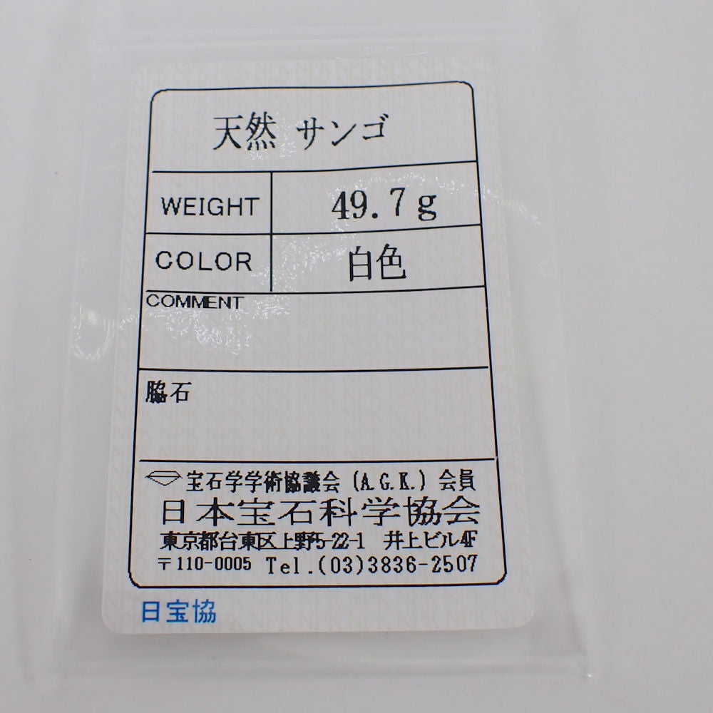 【中古】サンゴ ネックレス ホワイト 珠直径約5.0-14.4cm/g498-20