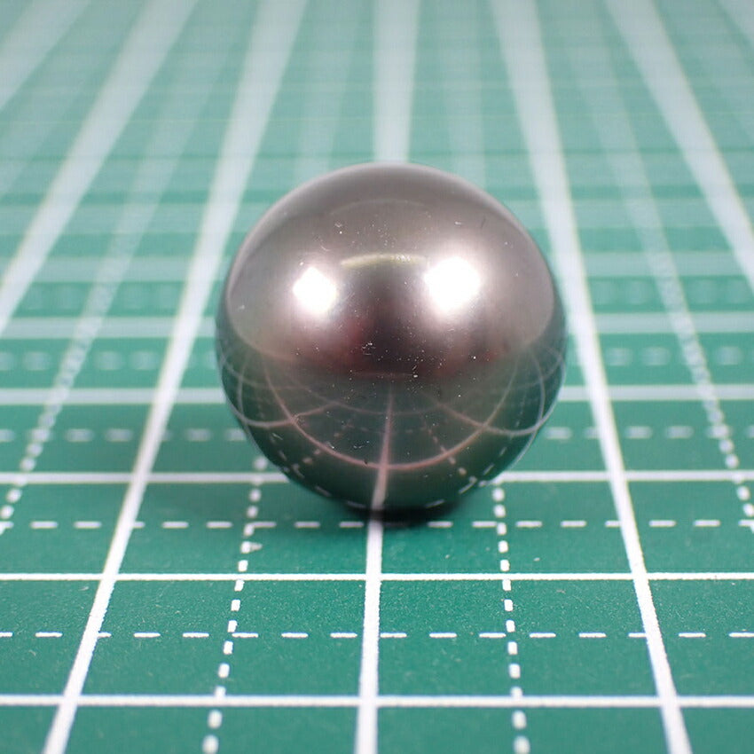 南洋黒蝶真珠/ブラックパール ルース 13.8mm/j124-4