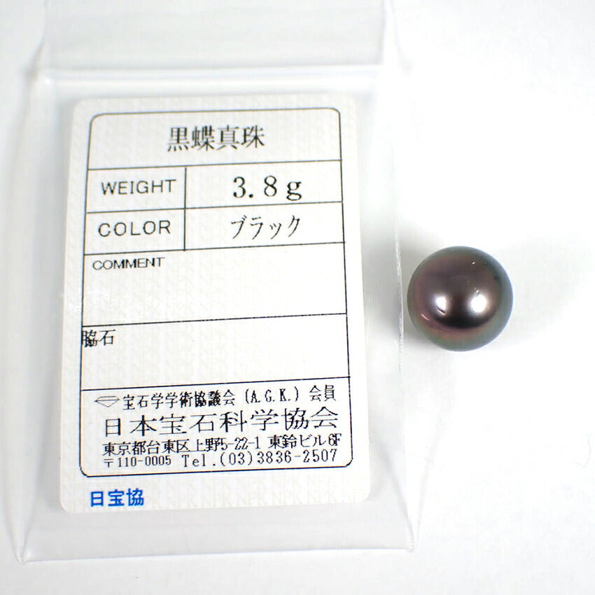 南洋黒蝶真珠/ブラックパール ルース 13.8mm/j124-4