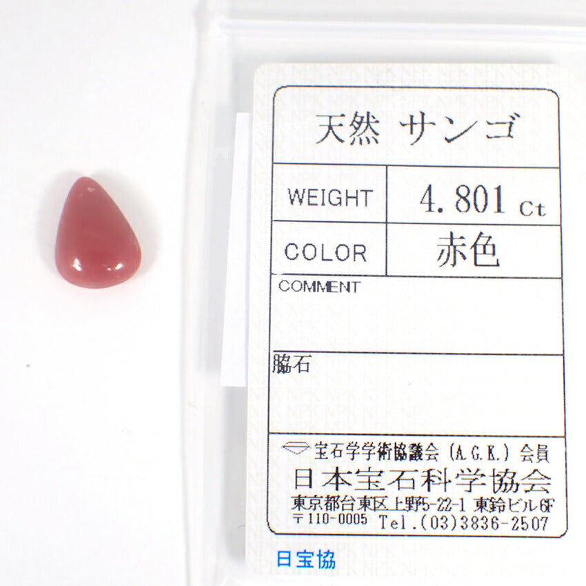 【中古】天然サンゴ ルース4.801ct/j219-11