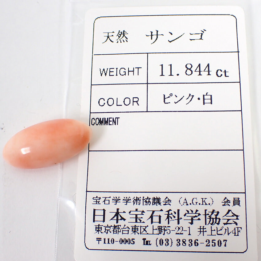 【中古】天然サンゴ ルース/j26-4