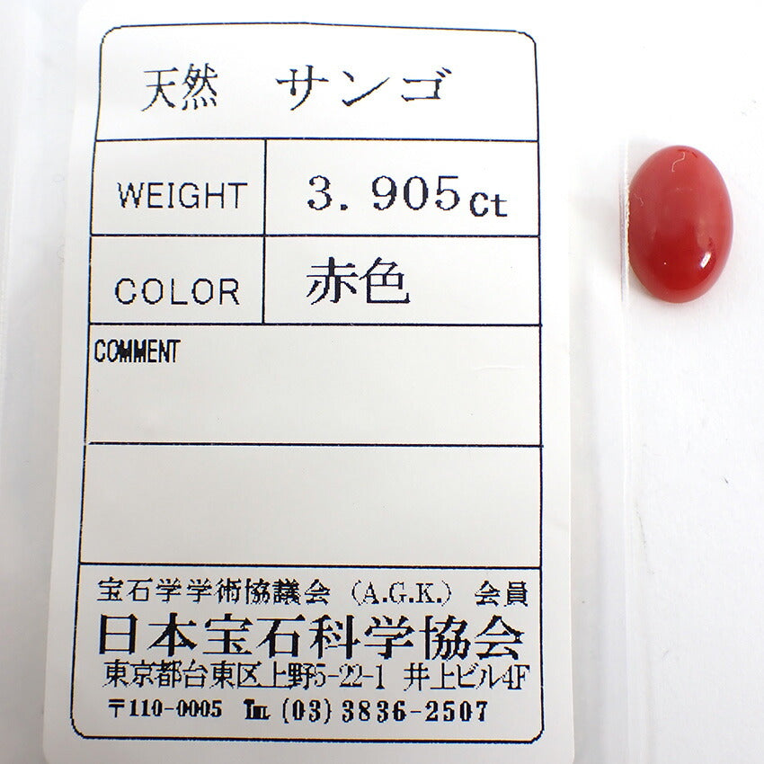 【中古】天然サンゴ ルース/j30-30