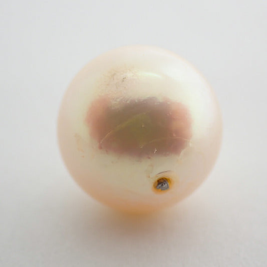 【中古】パール ルース/lu3-1