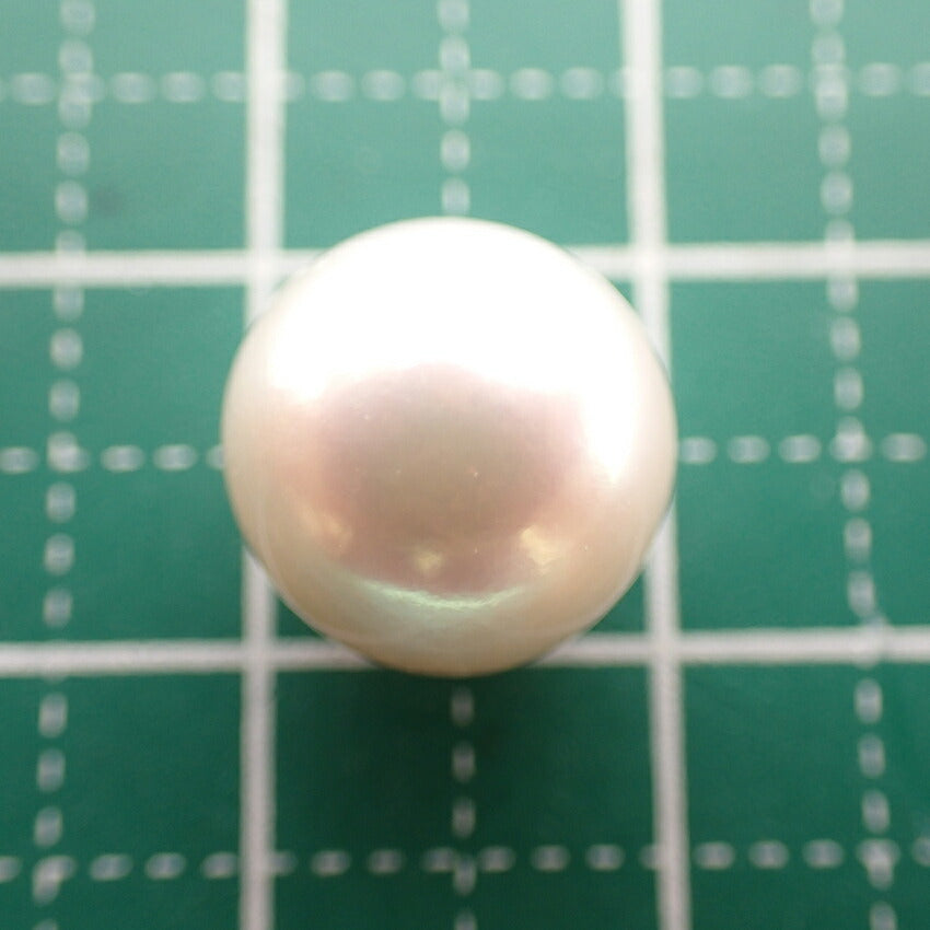 【中古】パール ルース/lu3-3